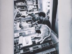 -上海市敬业中学