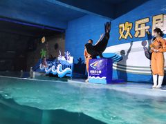-南昌海洋公园