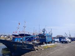 -叶存利海鲜大馅饺子(海宁路总店)