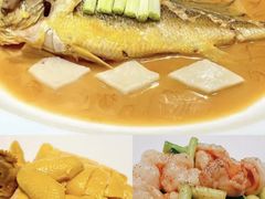 -子福慧(虹桥店)