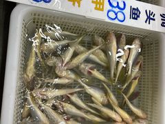 -三叔煮意