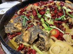 -老板恋上鱼(高新万达店)