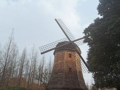 -成都南湖公园