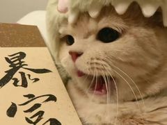 -皮特动物医院(24小时店)