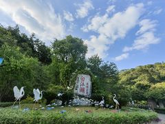 -广州白江湖森林公园