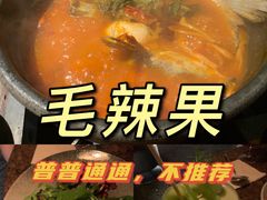 -毛辣果·酸(OHA复兴西路店)