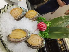 大连鲜鲍鱼-沄记顺德菜打边炉(东直门店)