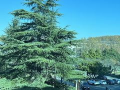 -河南省黄河迎宾馆