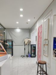 -镁连社·美联社