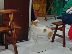 -米二红烧兔(华阳店)