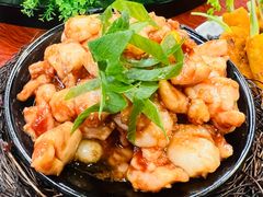-丁老爷子苏香圆