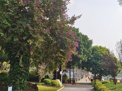 -南宁南湖公园