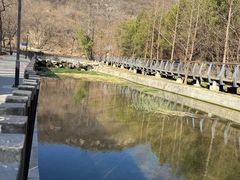 -白水寺森林公园