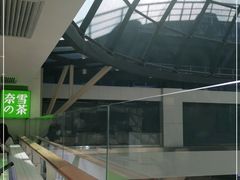 -奈雪的茶(赛格店)