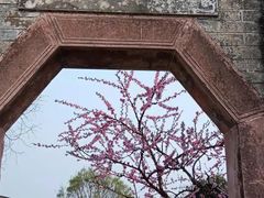 -金谷域澳洲庄园