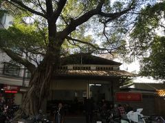 -小洲村
