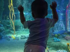 -沈阳海洋探索中心