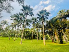 -中国科学院西双版纳热带植物园