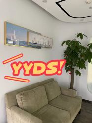 -联合丽格·张菡丽格医疗美容