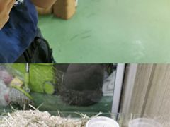-藦茜花园宠物主题亲子互动体验馆(国顺东路店)