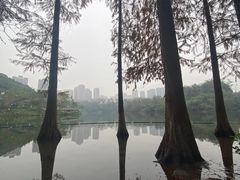 -重庆彩云湖湿地公园