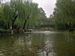 -西安市长乐公园