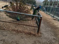 -宿豫区运河湾森林动物园