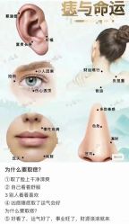 -MIDA蜜哒•科技逆龄美肤连锁