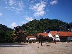 -龙苍沟森林公园