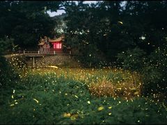 -五女山景区