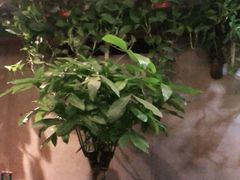 -万记麻辣烫国展总店