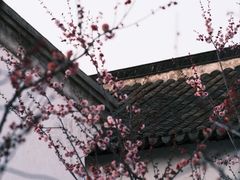 -青果巷历史文化街区