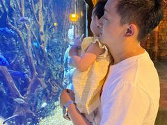 -华夏文旅海洋公园