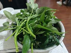 -黔府豆米火锅野菜馆(南马店)