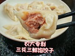 -东北农业大学饺子园