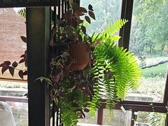 -野蔓果·山野菜(西湖景区·龙井茶田店)