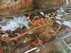 -海上人家The Sea Food Paradise Restaurant & Bar