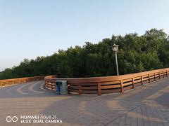 -宝安西湾红树林湿地公园