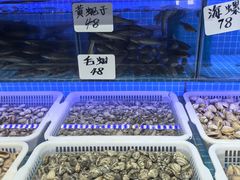 -小海丁