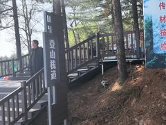 -黄椅山火山森林公园