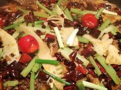 -老板恋上鱼(印象城店)