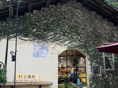 -村上春树