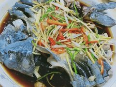 -煲来饱去冷水鱼