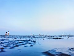 -南汇新城海滩