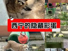 -青藏高原野生动物园