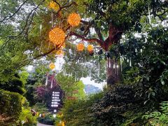 -杭州第一世界大酒店·云曼温泉