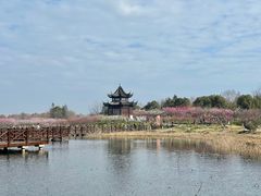 -上海海湾国家森林公园