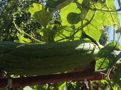 -中国国际会展中心-马甸购物街