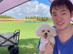 -春花秋色城市公园