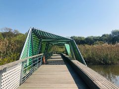 -西湖风景区-江洋畈生态公园